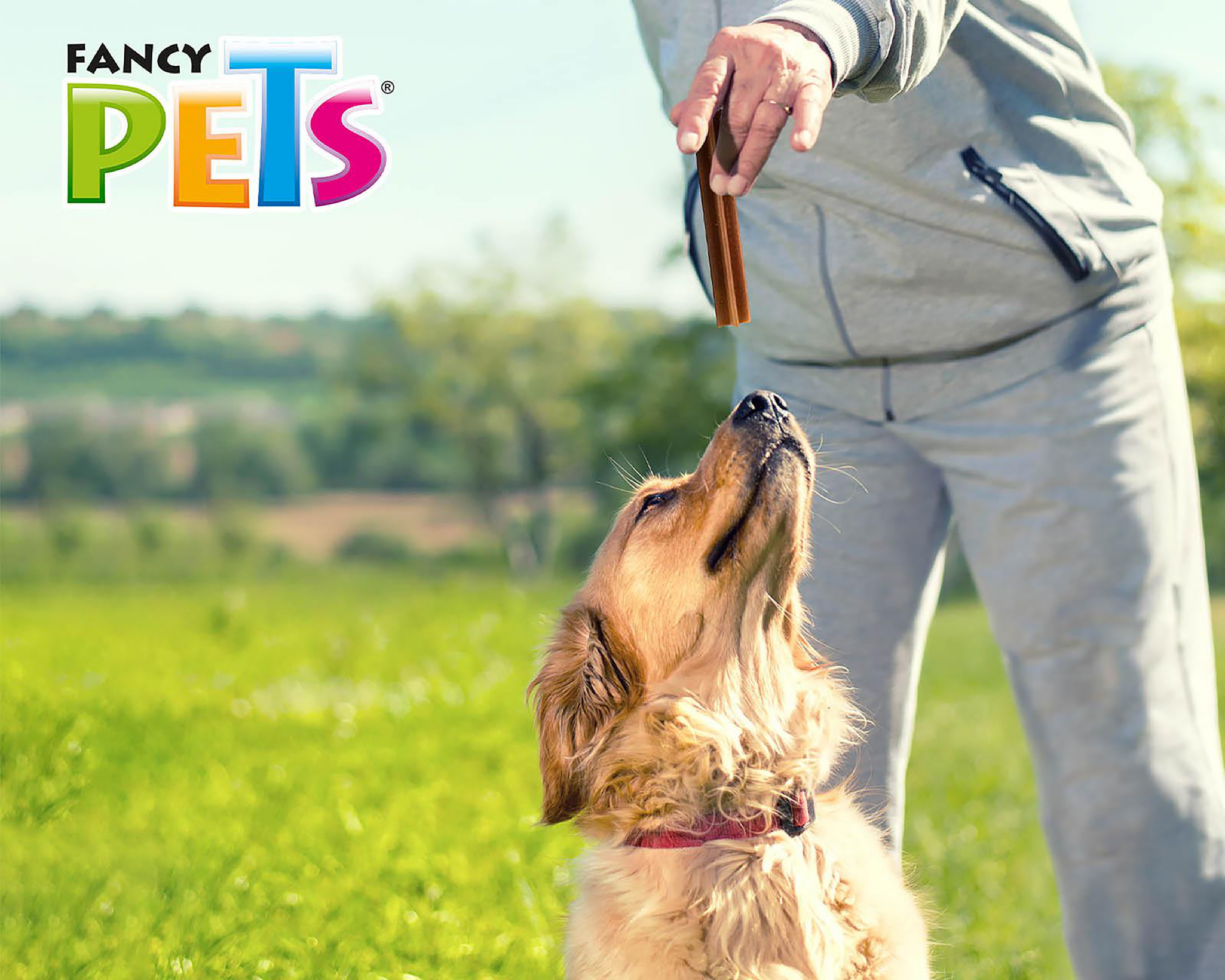 Foto 5 pulgar | Snack Yummy Sticks para Perro Fancy Pets 60 g