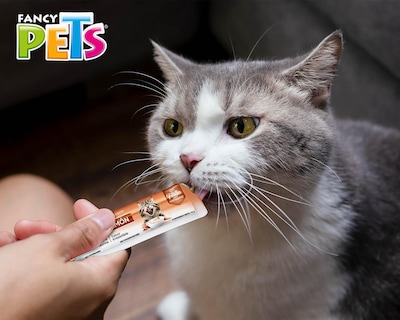 Foto 4 | Snack Yummy Creamy para Gato Fancy Pets 56g
