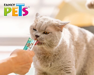 Foto 4 | Premio para Gato Fancy Pets Adulto 4 Piezas