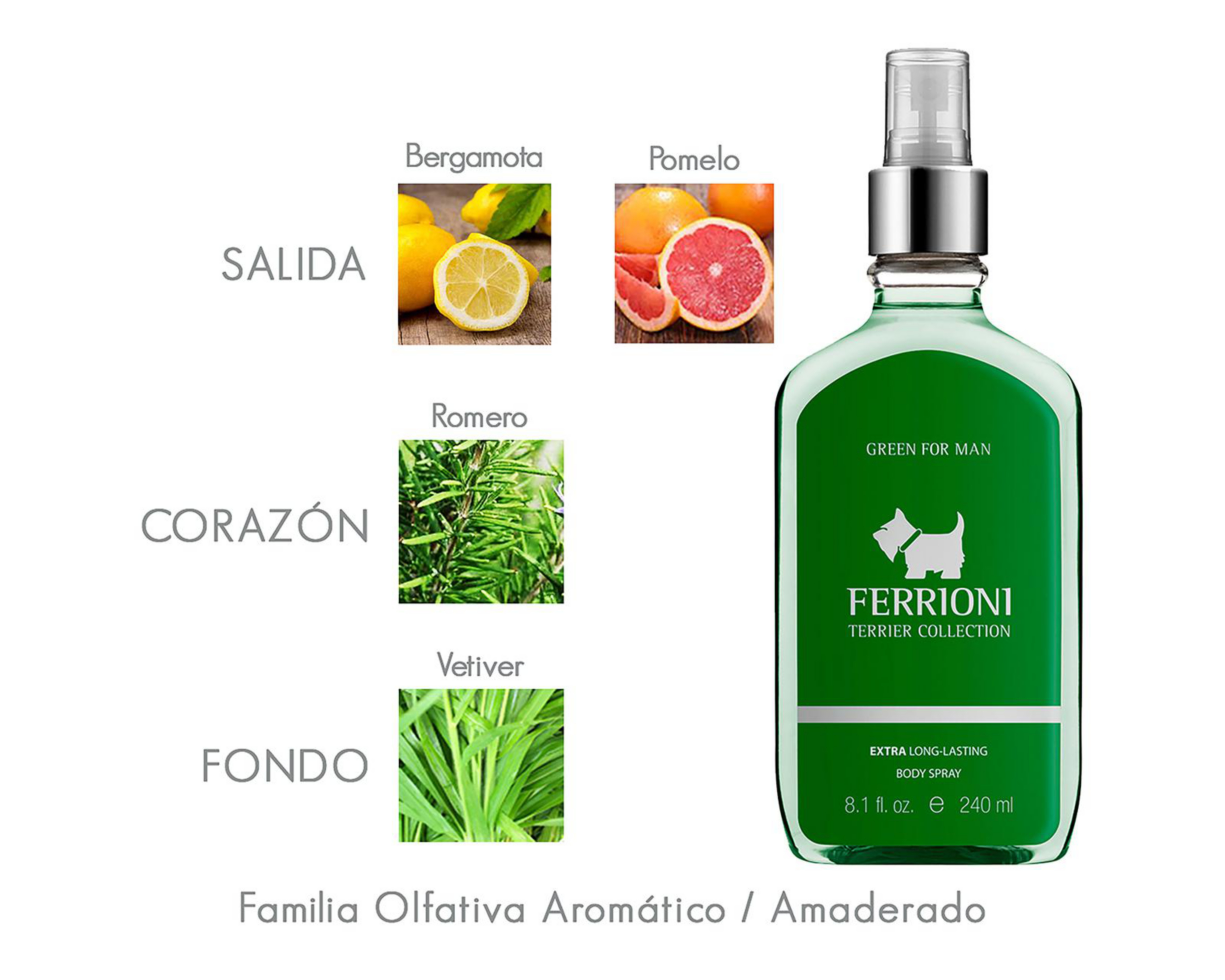 Foto 4 pulgar | Perfume Ferrioni Terrier Green Body Spray 240 ml