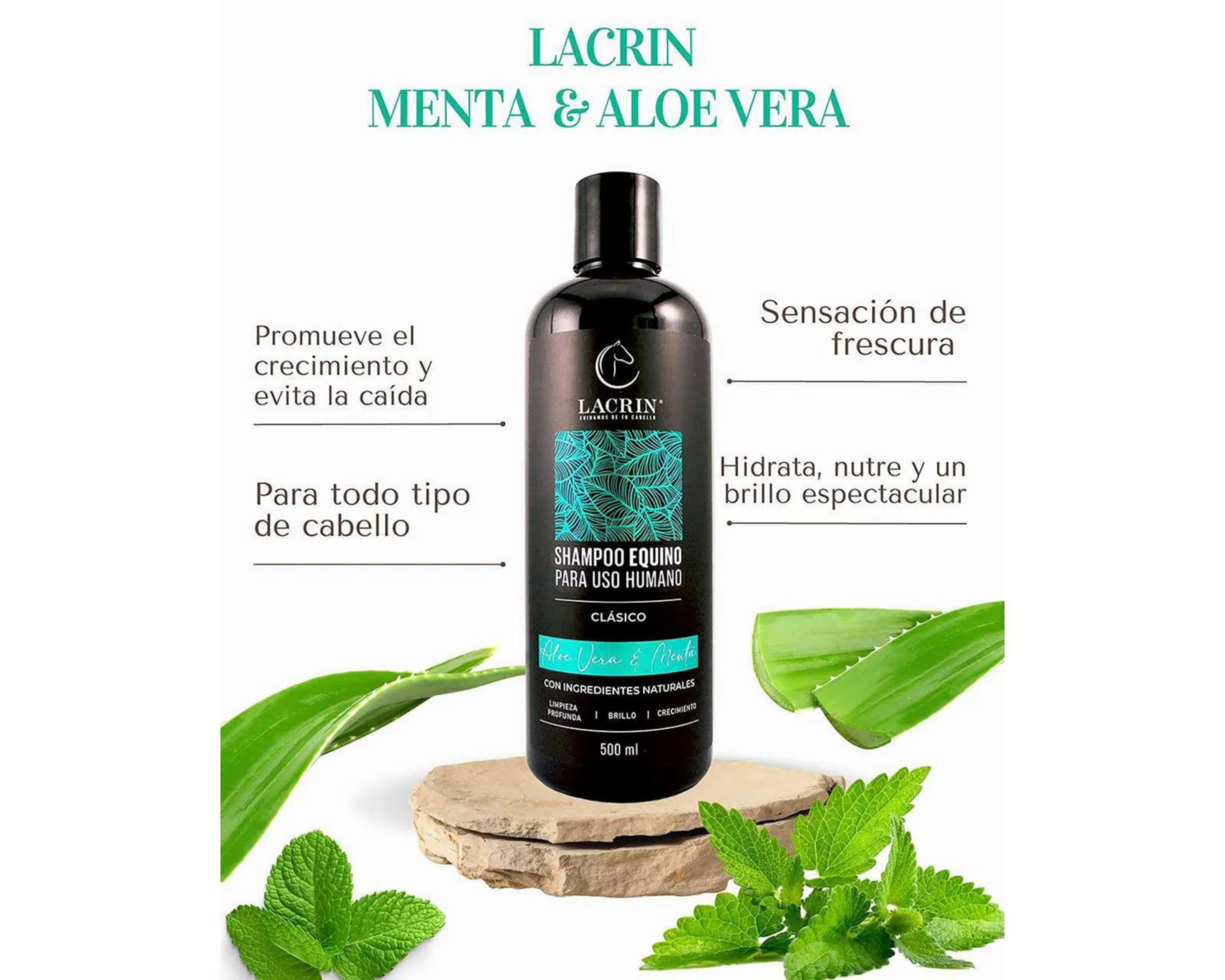 Foto 4 pulgar | Shampoo Lacrin Aloe Vera y Menta 500 ml