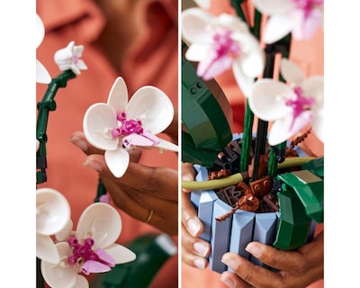 Foto 8 | LEGO: Orquídeas