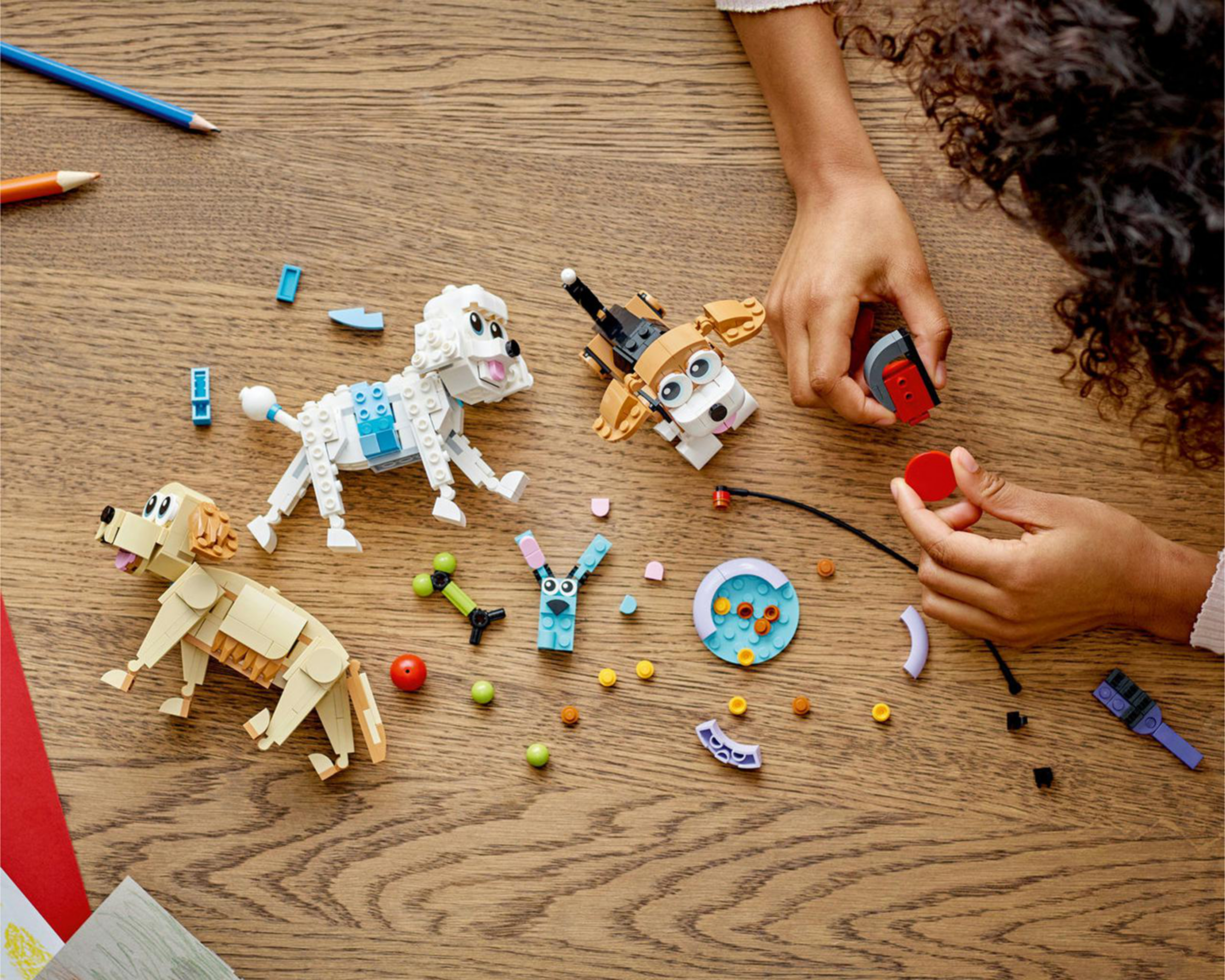 Foto 4 | LEGO Creator: Perros Adorables