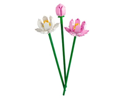 Foto 3 | LEGO Iconic: Flores de Loto