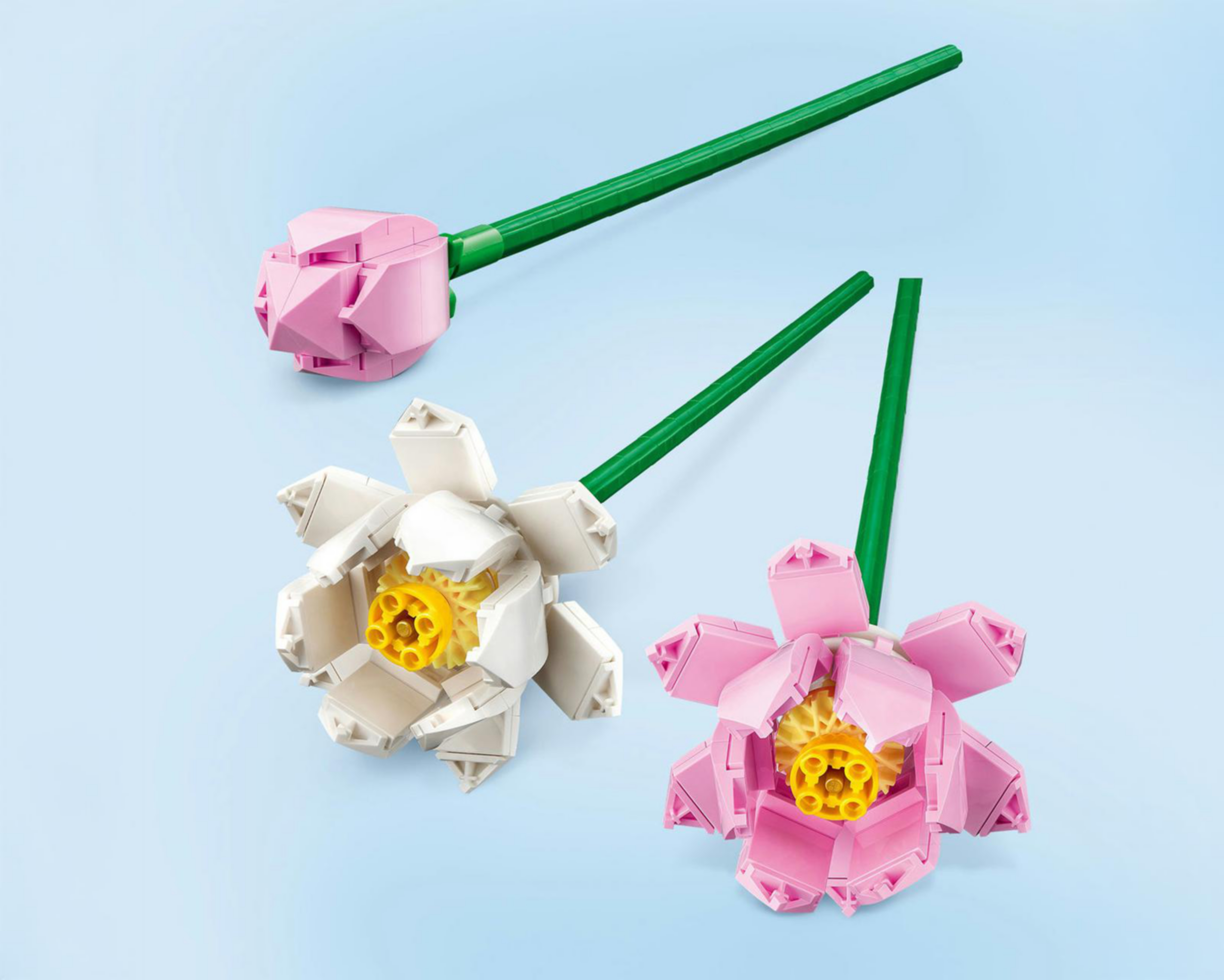 Foto 7 | LEGO Iconic: Flores de Loto