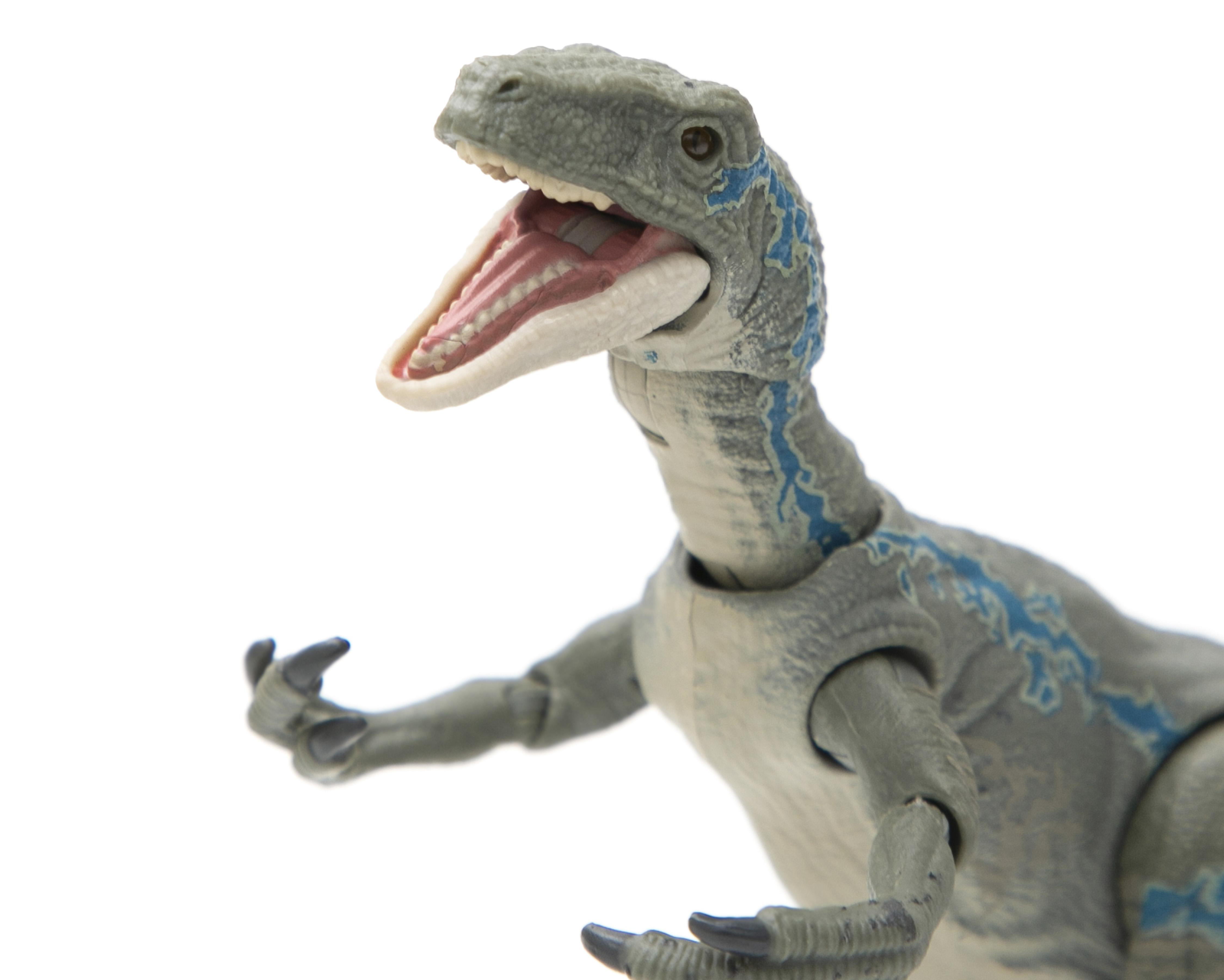 Foto 4 pulgar | Dinosaurio de Juguete Jurassic World Mattel Velociraptor Blue