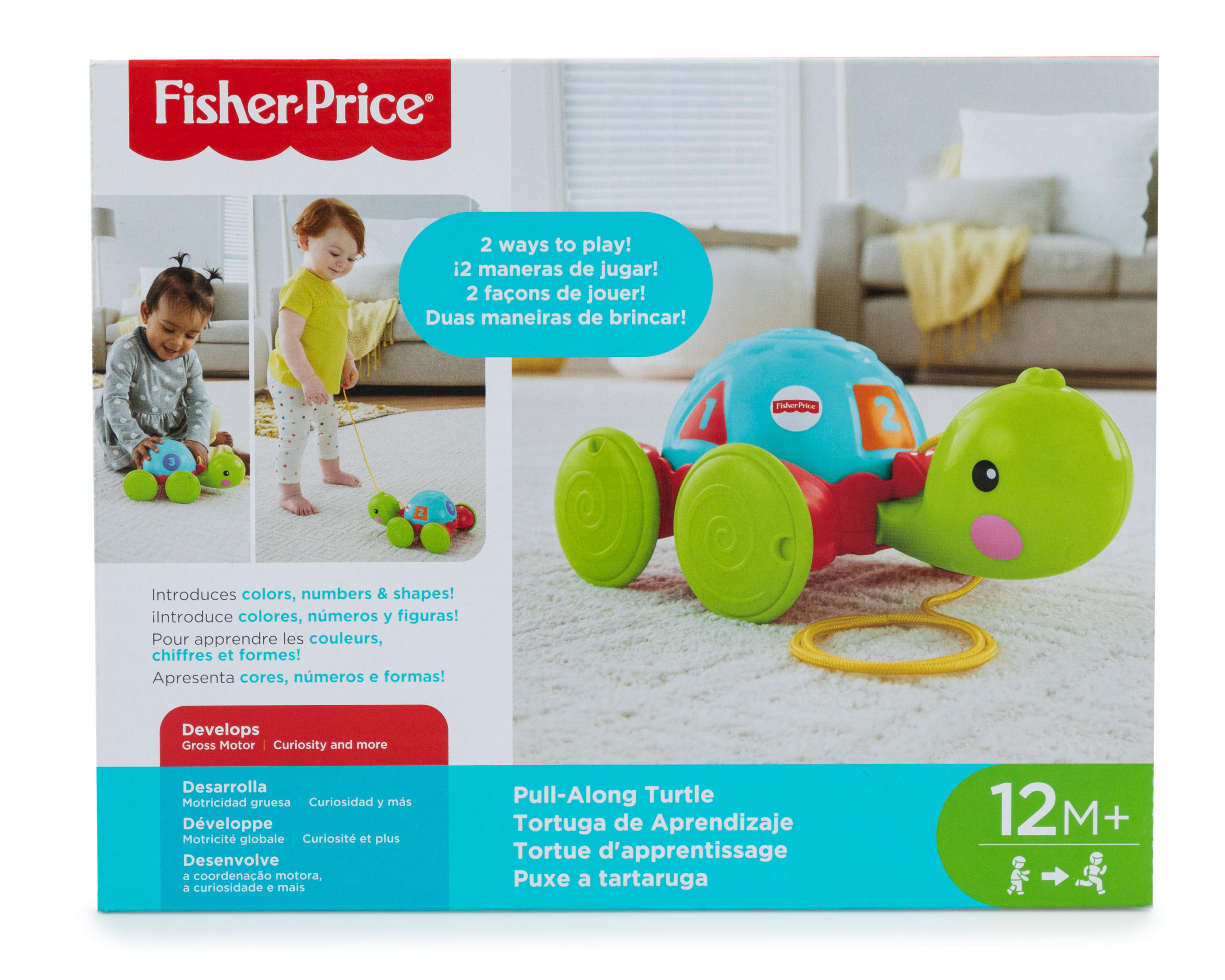 Tortuga de Aprendizaje Fisher Price