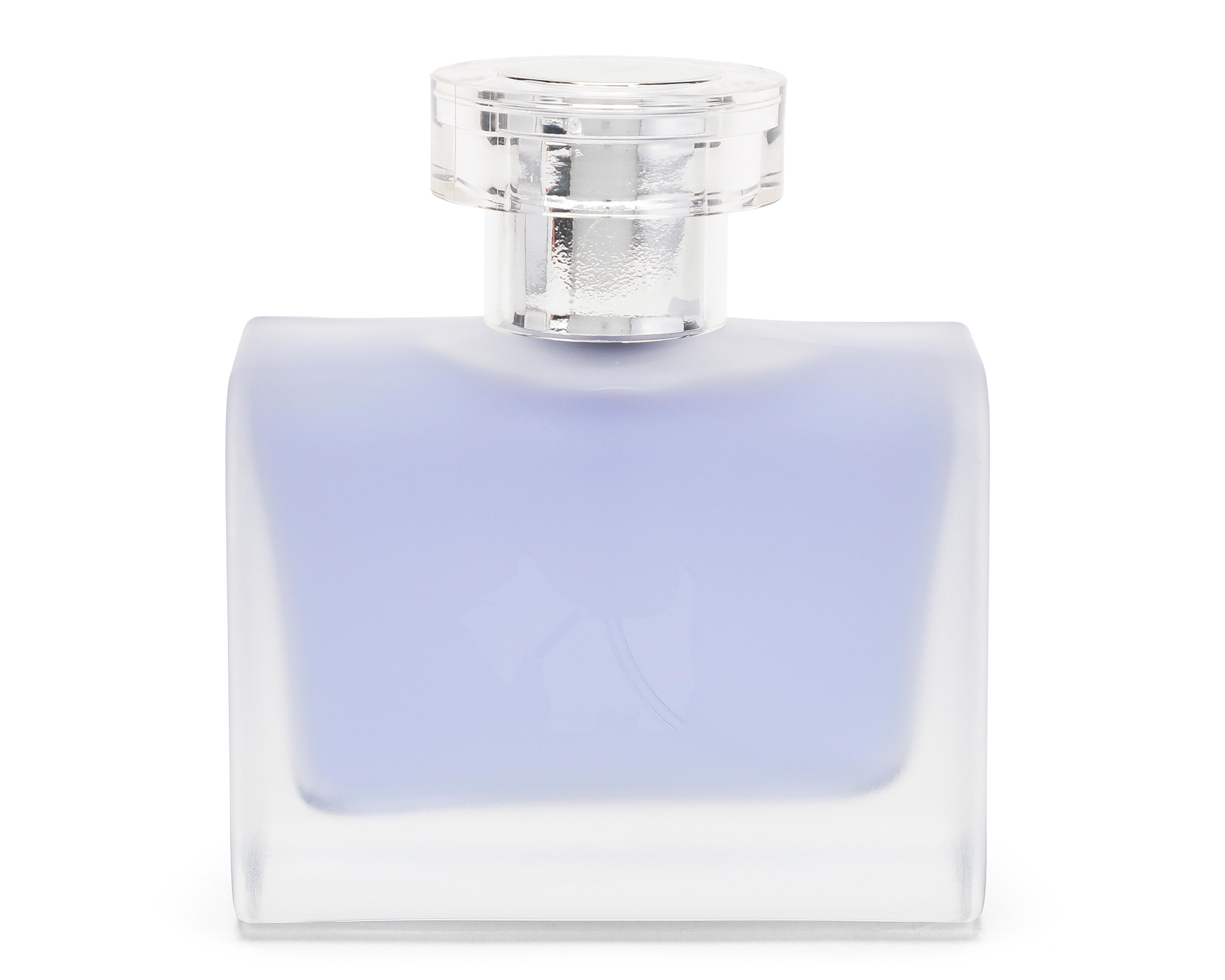 Foto 2 | Estuche para Mujer Ferrioni Terrier Ice Violet 3 Piezas