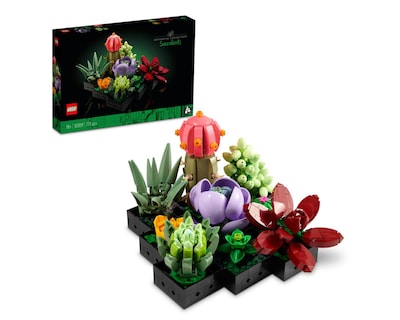 Foto 1 | LEGO Botanical Collection Suculentas