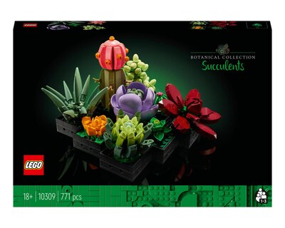 Foto 2 | LEGO Botanical Collection Suculentas