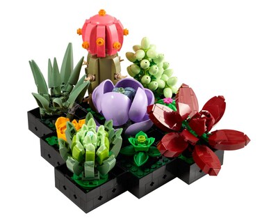 Foto 3 | LEGO Botanical Collection Suculentas