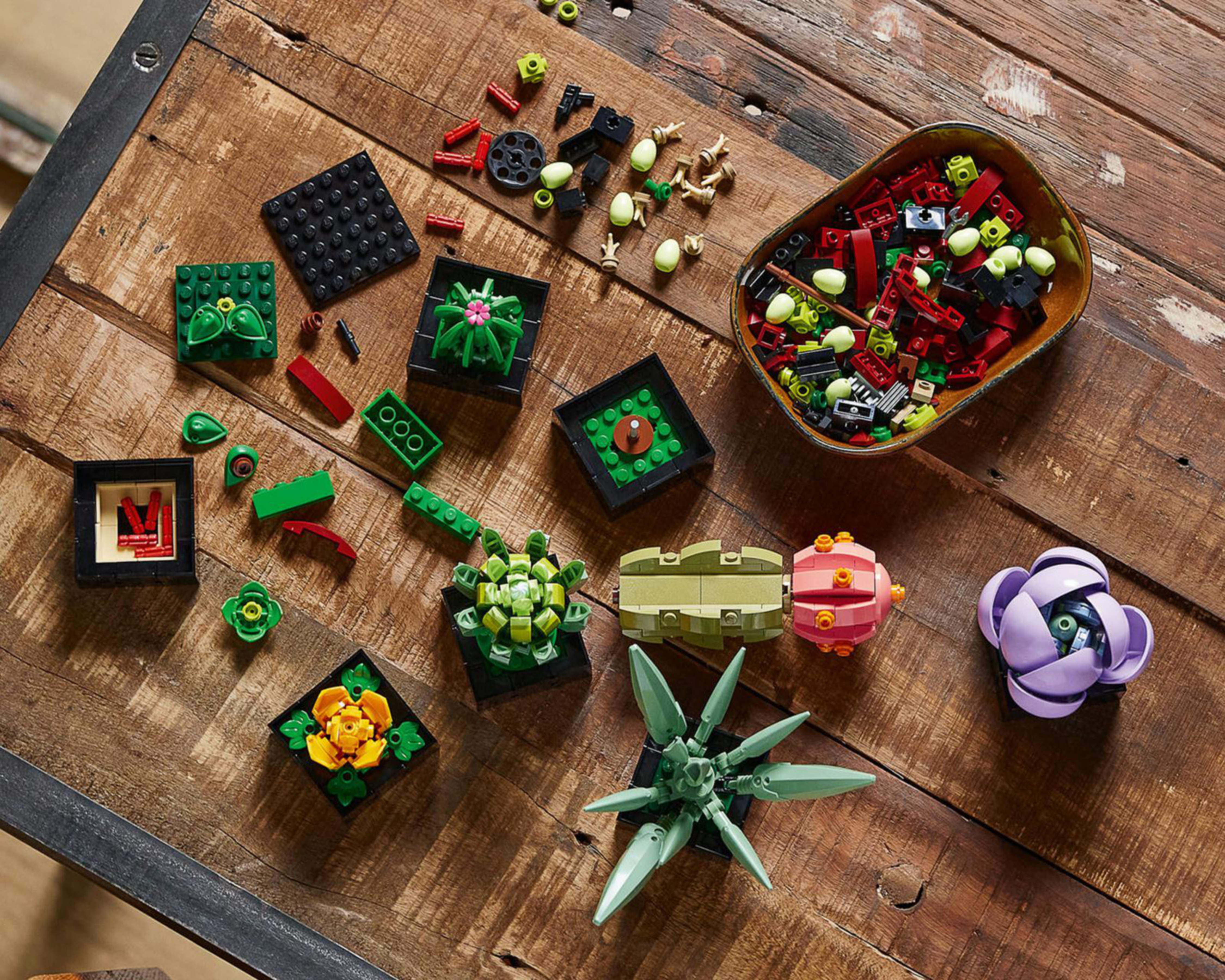 Foto 4 | LEGO Botanical Collection Suculentas