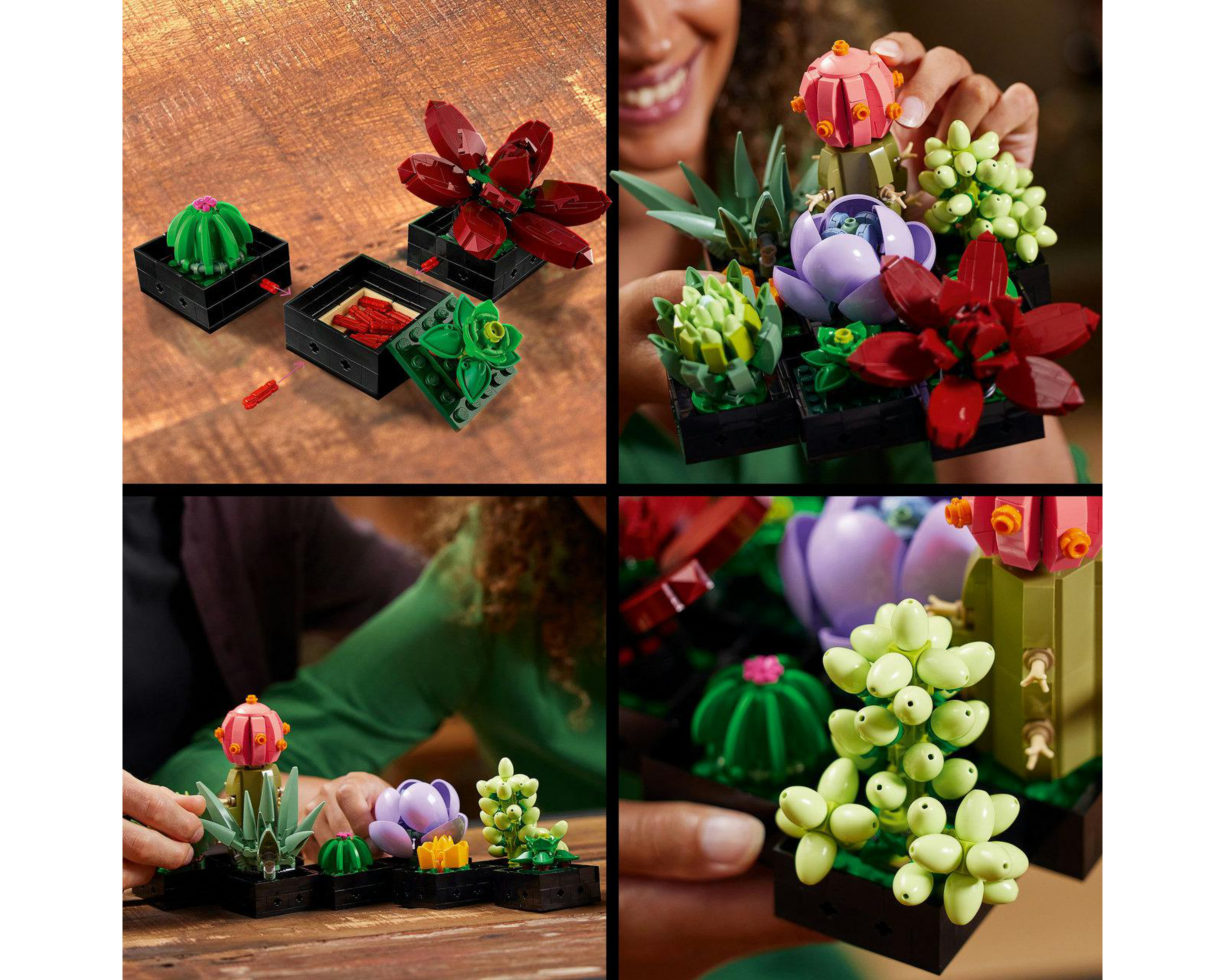Foto 8 pulgar | LEGO Botanical Collection Suculentas
