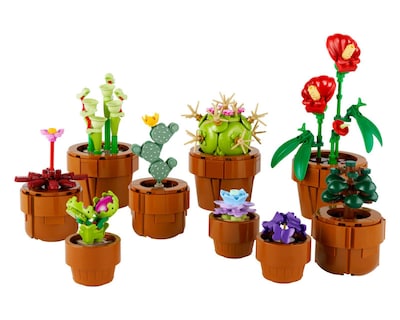 Foto 3 | LEGO Botanical Collection Plantas Diminutas
