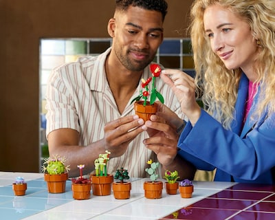 Foto 5 | LEGO Botanical Collection Plantas Diminutas