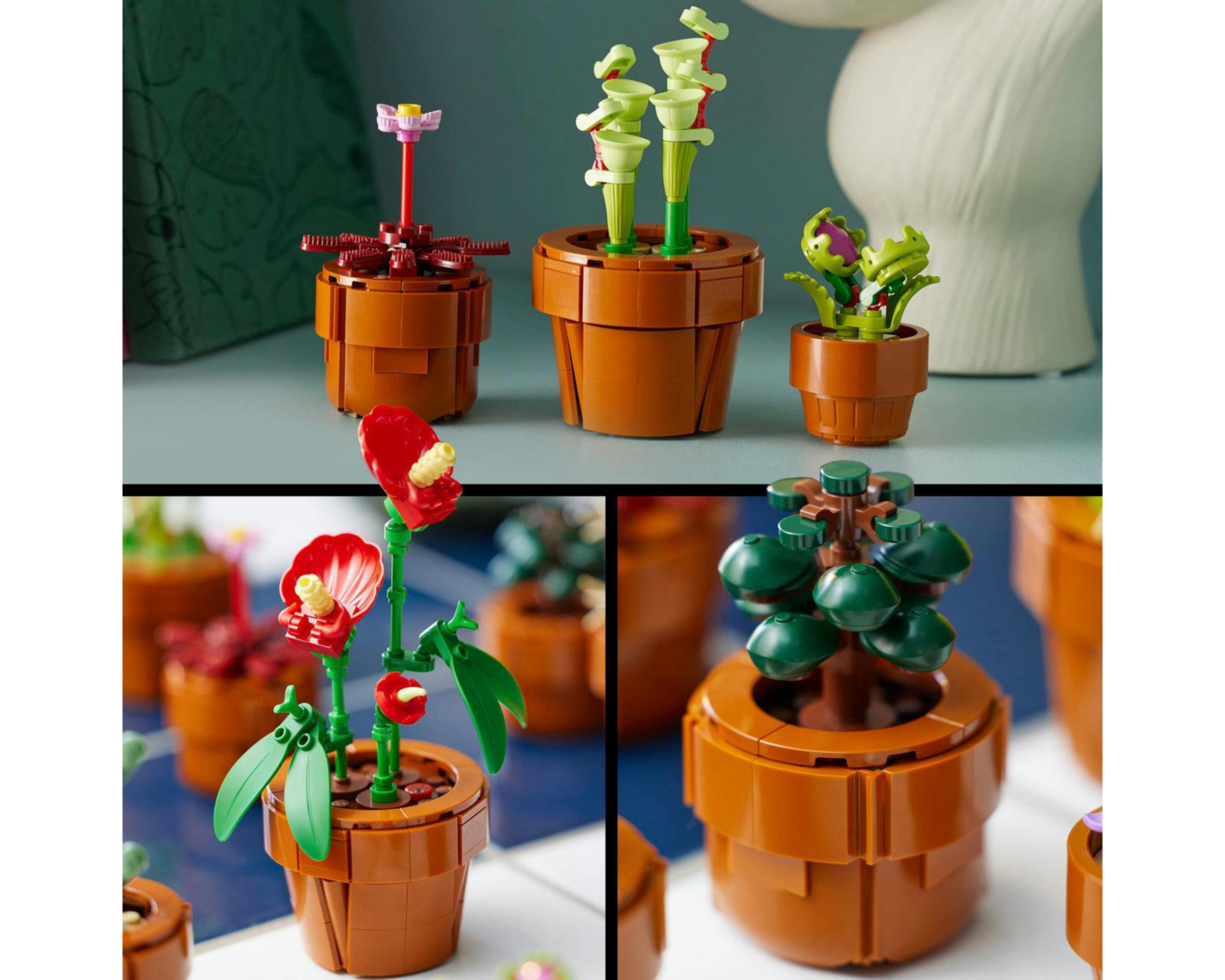 Foto 8 | LEGO Botanical Collection Plantas Diminutas