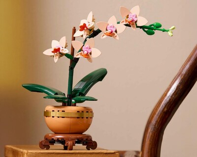 Foto 6 | LEGO Botanicals: Miniorquídea