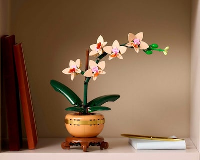Foto 7 | LEGO Botanicals: Miniorquídea