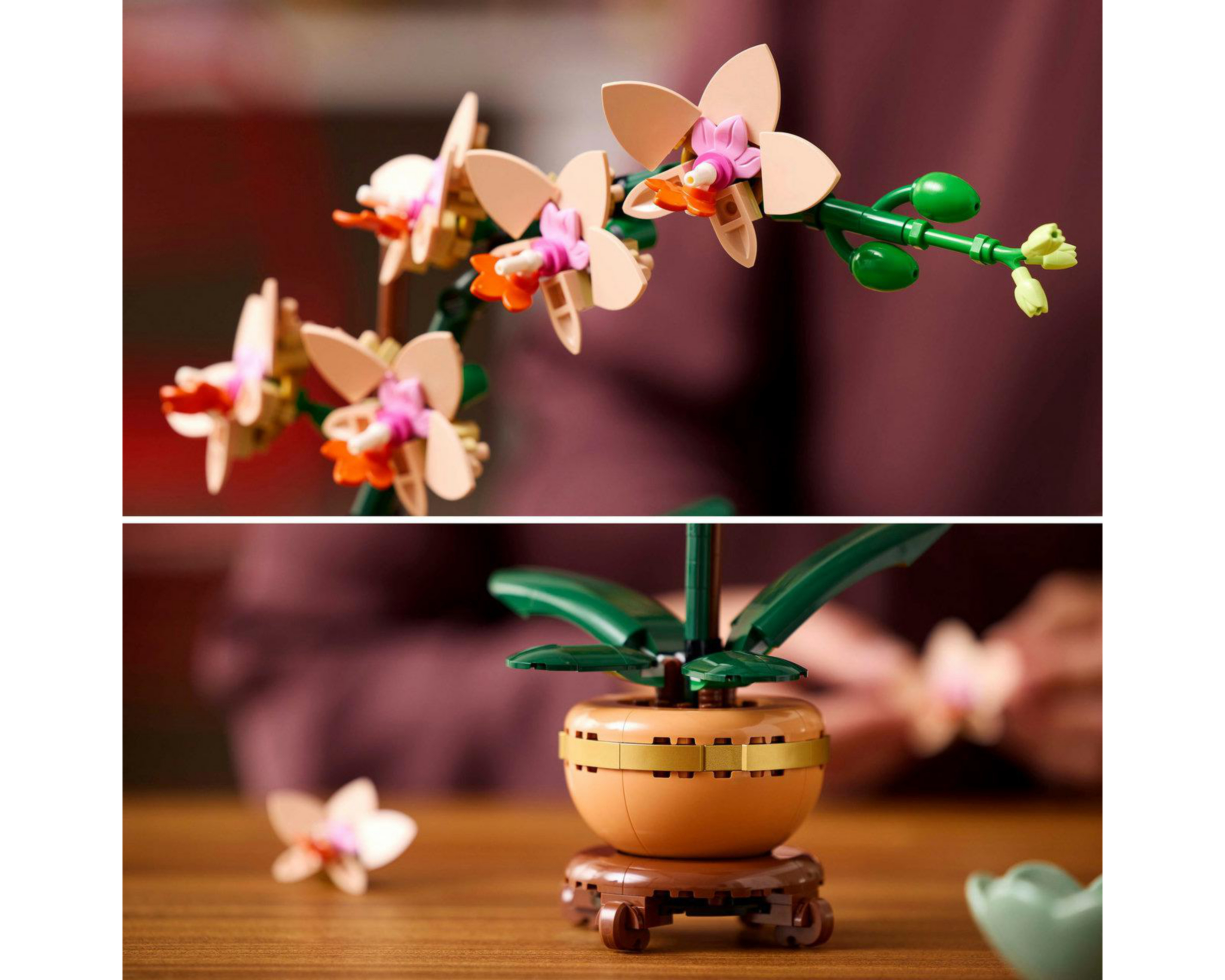 Foto 8 | LEGO Botanicals: Miniorquídea