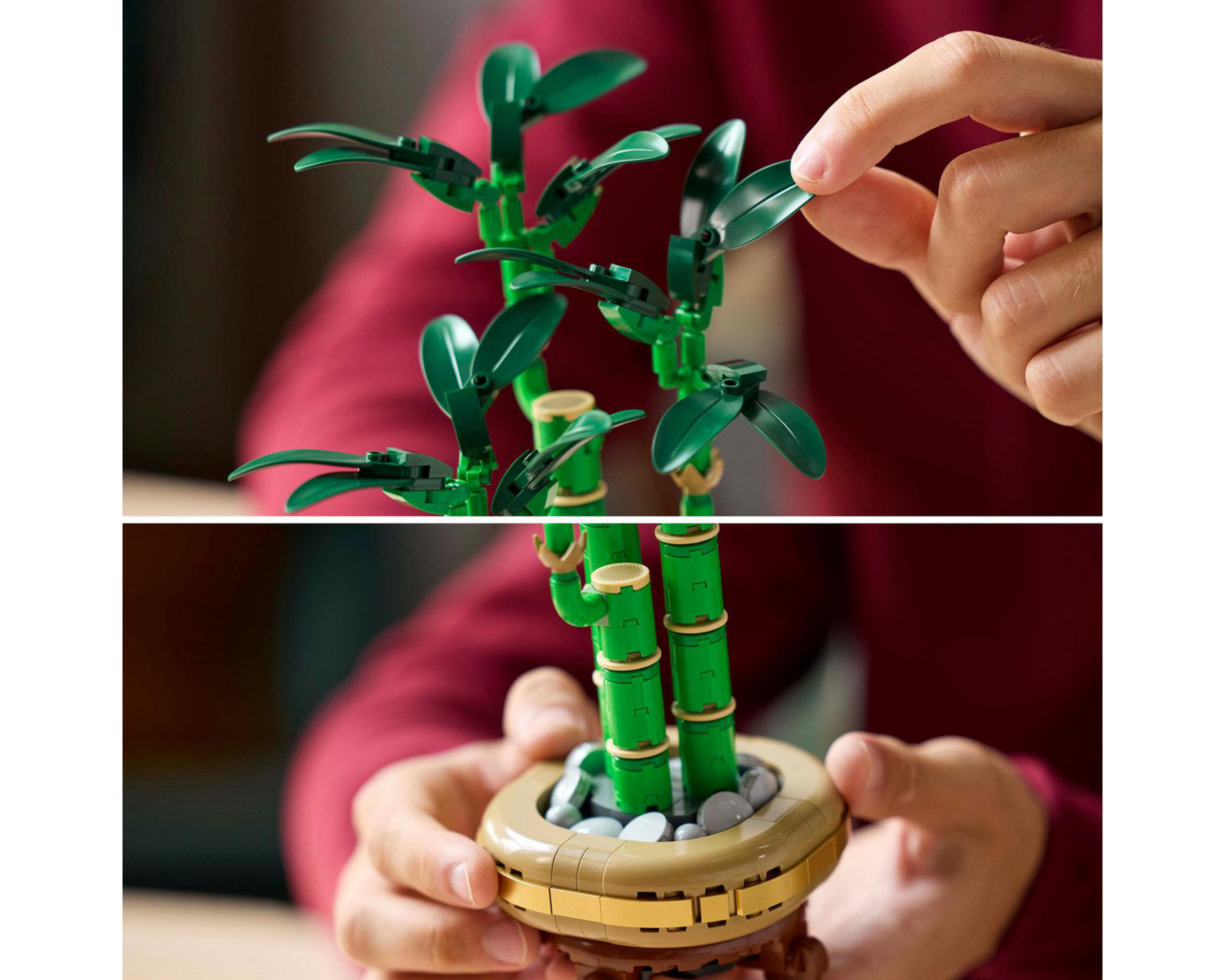 Foto 9 pulgar | LEGO Botanicals: Bambú de la Suerte