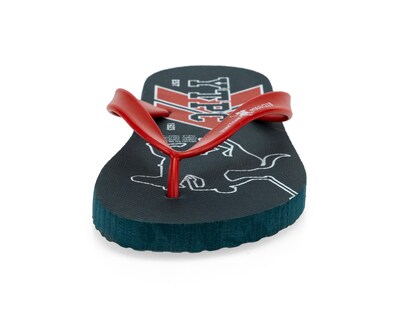 Foto 5 | Sandalias de Playa York Team Polo Club para Hombre