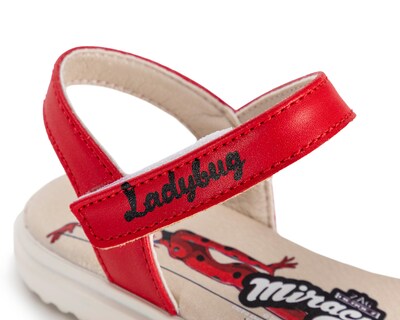 Foto 6 | Sandalias Casuales Ladybug para Niña