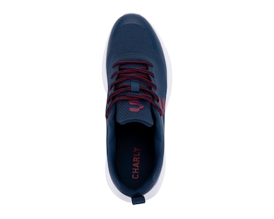 Foto 5 | Tenis para Jogging Charly para Hombre