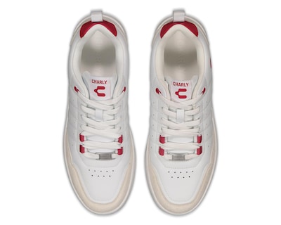 Foto 5 | Tenis Charly Skiart para Hombre